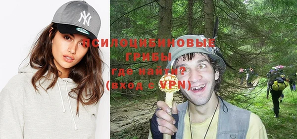 трава Алзамай