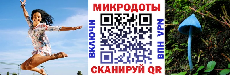 Псилоцибиновые грибы Cubensis Амурск