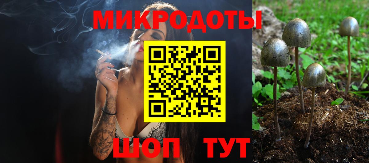 купить наркотик  Вход с VPN  Амурск  Галлюциногенные грибы мухоморы  Галлюциногенные грибы Psilocybe 